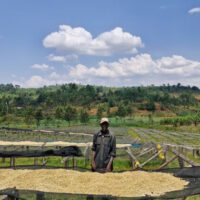 Homme travaillant dans une ferme avec montagnes verdoyantes.