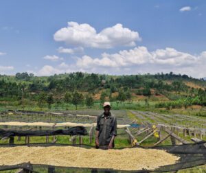 Homme travaillant dans une ferme avec montagnes verdoyantes.