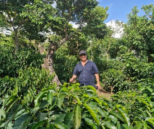 Personne dans une plantation verdoyante.