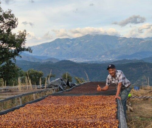 Homme avec grains de café, montagnes en arrière-plan.