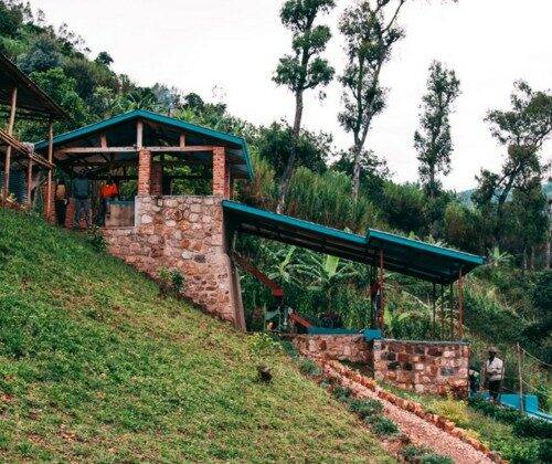 Paysage rural avec bâtiments en pierre et arbres.