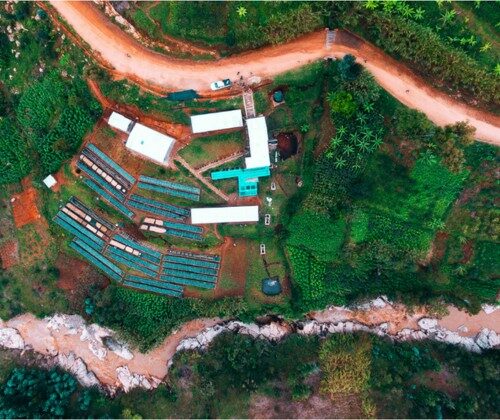 Vue aérienne d'une ferme rurale et de champs verts.